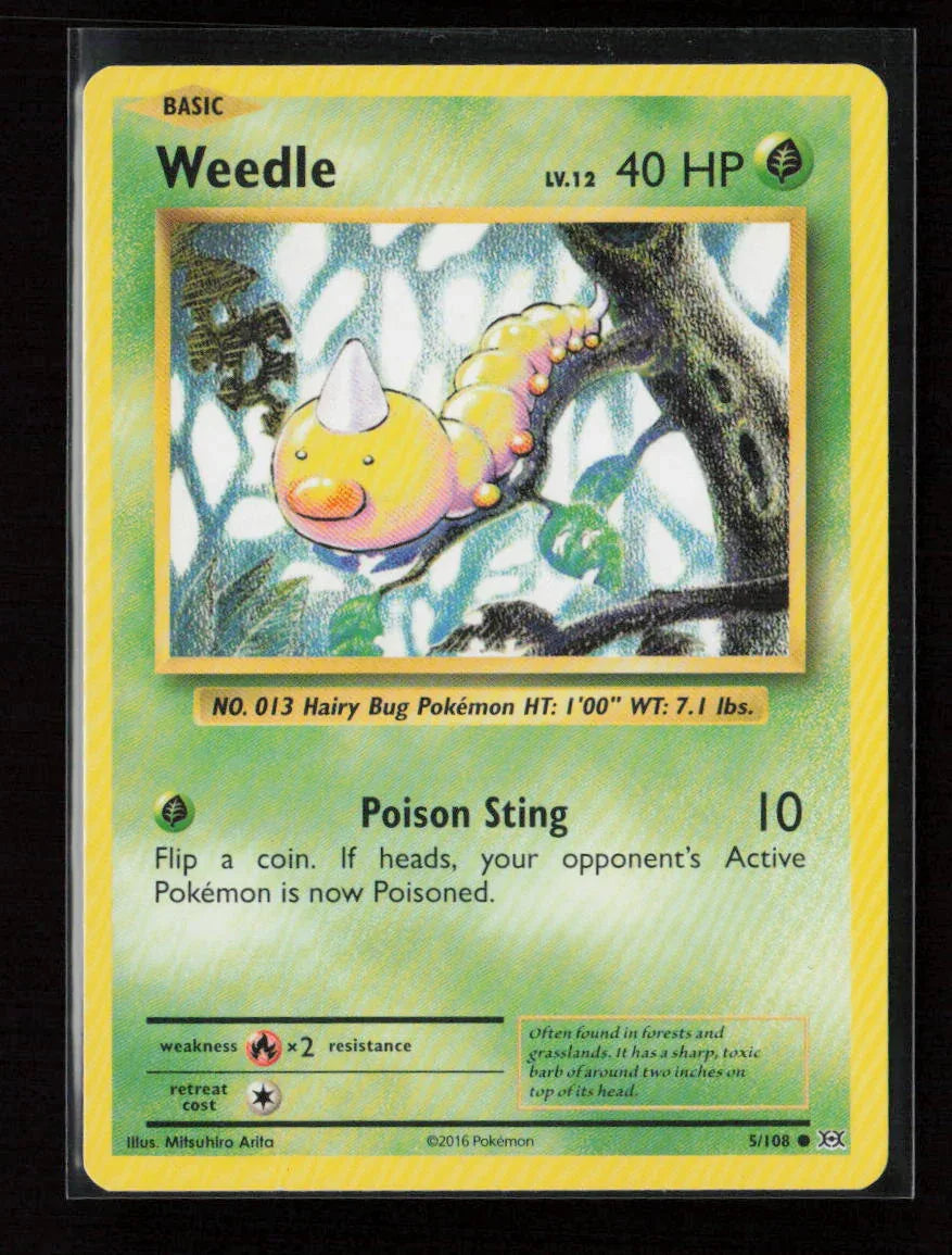 Weedle Common XY - Evolutions 5/108 MP - Kang's Collectibles
