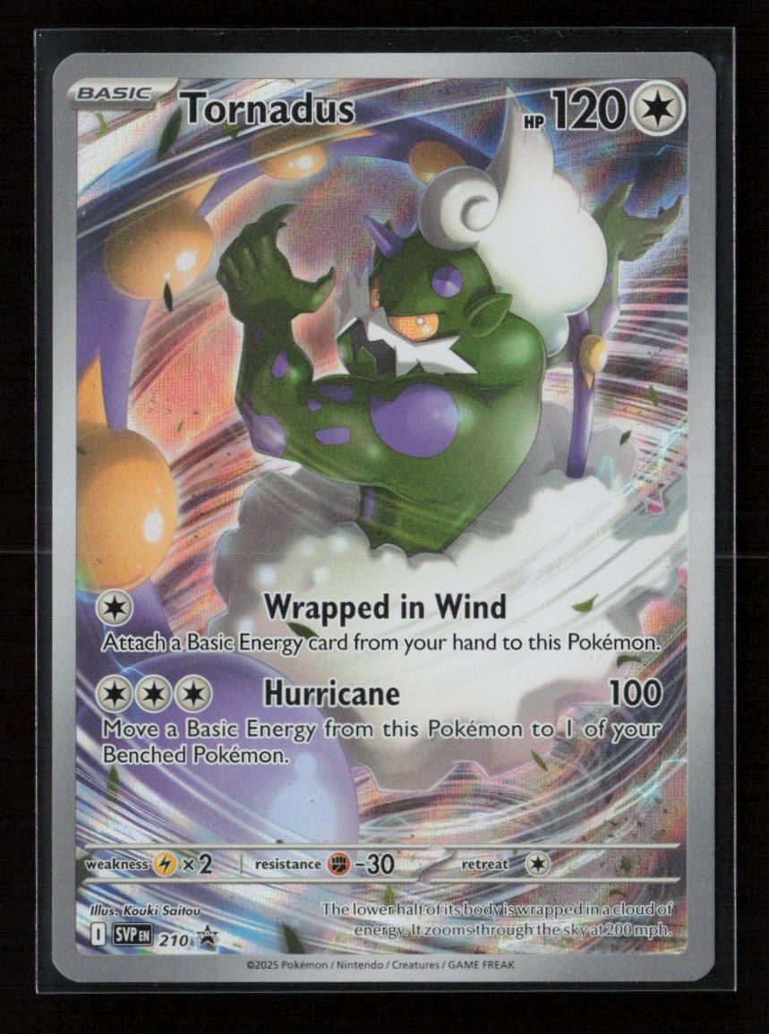 Tornadus - Promo SV: Scarlet & Violet Promo Cards 210 NM