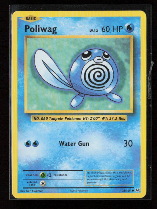 Poliwag Common XY - Evolutions 23/108 MP - Kang's Collectibles