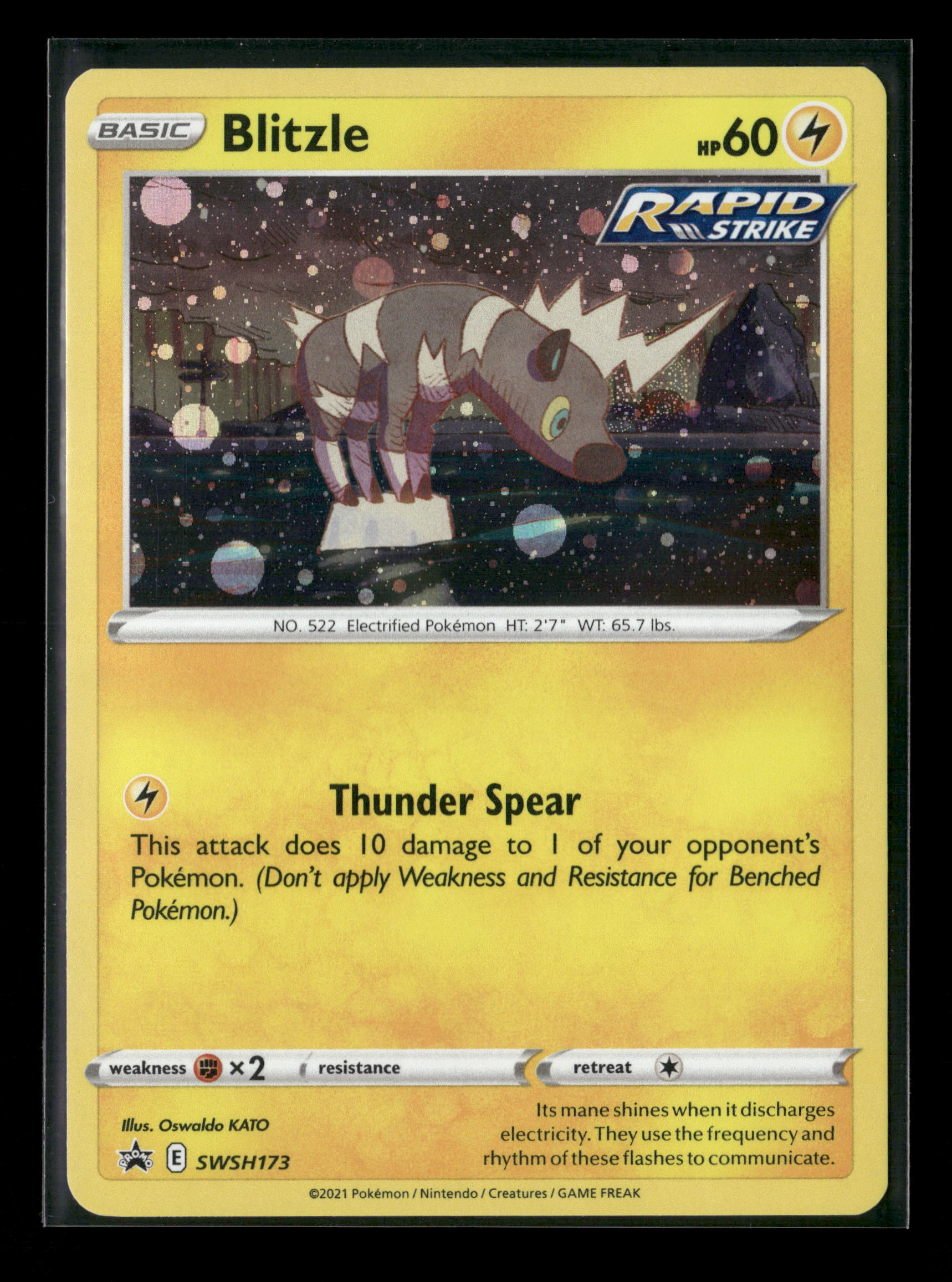 Blitzle - Promo SWSH: Sword & Shield Promo Cards SWSH173 NM